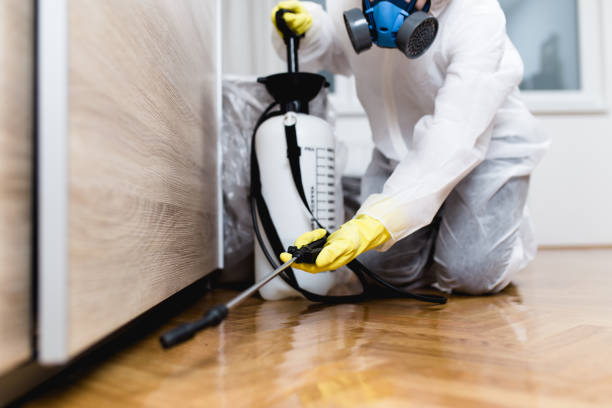 Best Emergency Pest Control  in Harlem, GA