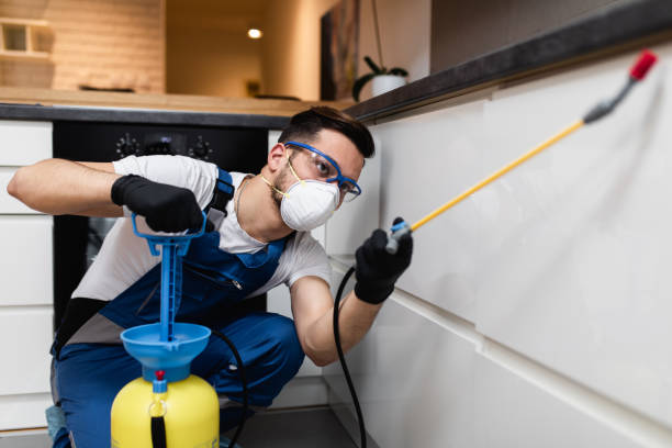 Best Rat Extermination Near Me  in Harlem, GA