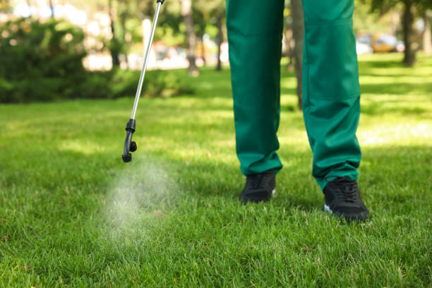 Best Wasp Removal Services  in Harlem, GA