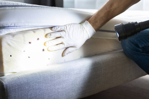 Best Best Pest Control Near Me  in Harlem, GA