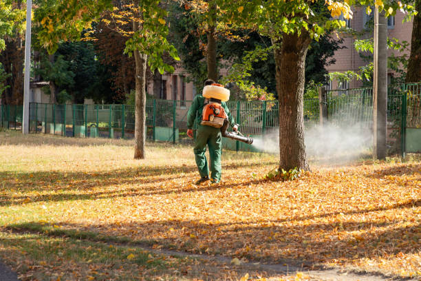 Best Termite Control Services  in Harlem, GA