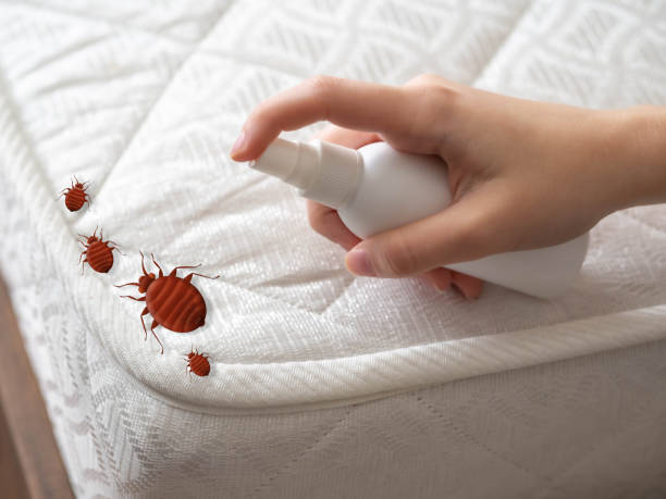 Best Pest Control Near Me in Harlem, GA